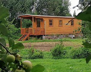 Rustic surroundings of Cottage in Wapserveen, surrounded by nature in Southwest Drenthe.