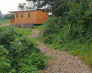 Scenic hiking trail to cottage in Wapserveen, surrounded by nature in Southwest Drenthe.