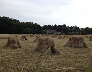 Landelijk uitzicht met hooibalen nabij Landhuisje Leda, een vakantiehuis in Dwingeloo, Zuidwest Drenthe.