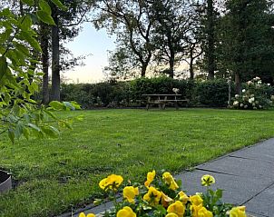 Uitgestrekte tuin bij Johanneshof vakantiehuis in Wateren, Drenthe.