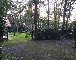 Bosrijke omgeving rond Johanneshof vakantiehuis in Wateren, Drenthe.