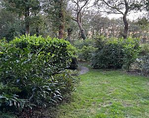 Natuurlijke omgeving van Johanneshof vakantiehuis, Wateren, Drenthe.