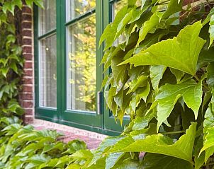 Verblijf 20217401 - Vakantiewoning Sleeswijk-Holstein - Huisje in Tetenbüll