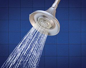 Unterkunft 2025425 - Appartement Florida - Holiday Inn Express and Suites Tampa I-75 at Bruce B. Downs,