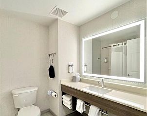 Unterkunft 2025425 - Appartement Florida - Holiday Inn Express and Suites Tampa I-75 at Bruce B. Downs,