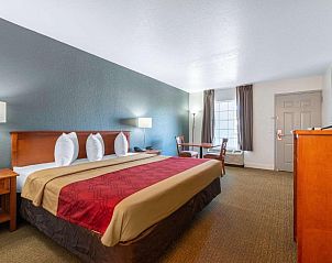 Unterkunft 2025465 - Appartement Florida - Econo Lodge at Raymond James Stadium