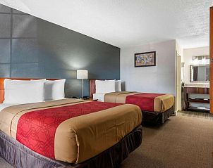 Unterkunft 2025465 - Appartement Florida - Econo Lodge at Raymond James Stadium