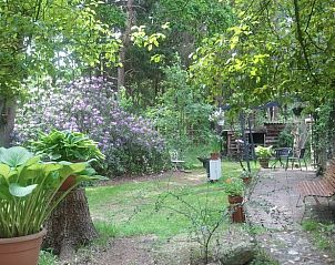 Unterkunft 203015 - Ferienhaus Zuidwest Drenthe - Huisje in Ansen