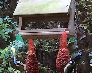 Unterkunft 203015 - Ferienhaus Zuidwest Drenthe - Huisje in Ansen