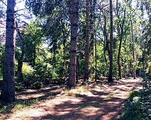 Unterkunft 203015 - Ferienhaus Zuidwest Drenthe - Huisje in Ansen