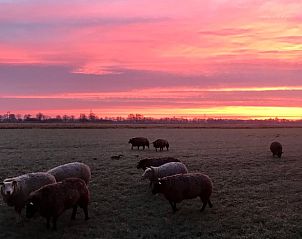 Unterkunft 203102 - Ferienhaus Zuidwest Drenthe - Vakantiehuis in Nijeveen