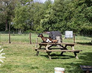 Unterkunft 203403 - Ferienhaus Zuidwest Drenthe - DG062