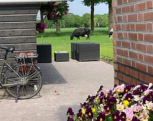 Unterkunft 203510 - Ferienhaus Zuidwest Drenthe - Vakantiehuis in Frederiksoord