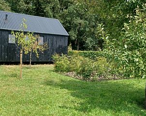 Groene omgeving rondom vakantiehuis Huisje in Hollandscheveld, Drenthe.