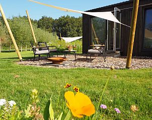 Groene omgeving en bloemen bij Vakantiehuisje in Emmeloord, Oostelijk Flevoland, Flevoland.