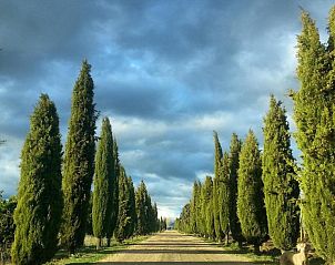Verblijf 2114602 - Vakantie appartement Castilië en Leon - Posada Real Castillo del Buen Amor