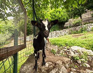 Guest house 21219905 - Apartment Friuli-Venezia Giulia - Appartement Villa Margherita