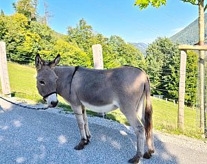 Guest house 21411303 - Apartment Salzburg - Gut Mitterlehen