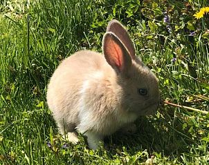 Guest house 21411303 - Apartment Salzburg - Gut Mitterlehen