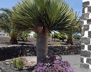 Guest house 21614401 • Holiday property Canary Islands • Casa Rural Finca Isabel 
