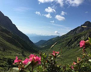 Guest house 21911405 - Holiday property Karnten - Bergbauernhof Stauder