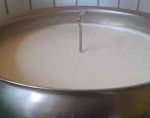 Guest house 21911405 - Holiday property Karnten - Bergbauernhof Stauder