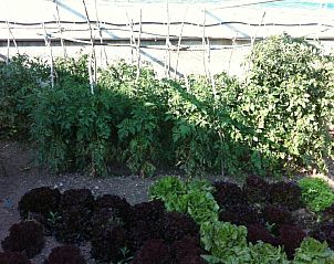 Verblijf 22514701 - Vakantiewoning Catalonië / Pyreneeën - Casa Masover