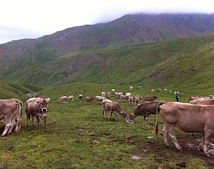 Verblijf 22514701 - Vakantiewoning Catalonië / Pyreneeën - Casa Masover