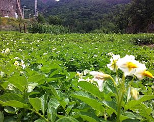 Verblijf 22514701 - Vakantiewoning Catalonië / Pyreneeën - Casa Masover