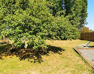 Verblijf 2260901 - Vakantiewoning Ardennen (Luxemburg) - Le Manoir de la Rulette