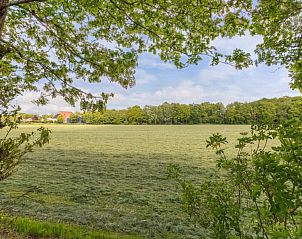 Unterkunft 230415 - Ferienhaus Friese bossen - Vakantiehuis