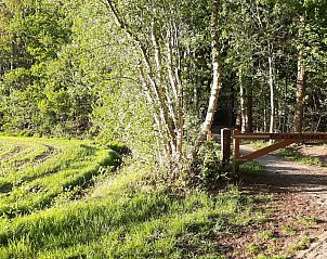 Unterkunft 230415 - Ferienhaus Friese bossen - Vakantiehuis