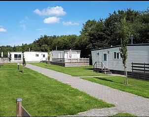 Unterkunft 230901 - Chalet Friese bossen - B120 De Spar