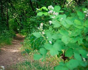 Verblijf 23102404 - Vakantie appartement Hessen - Hotel Odenwaldblick