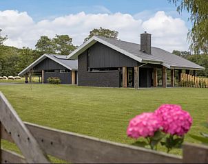 Verblijf 231116 • Vakantiewoning Friese bossen • Modern ingericht tweepersoonsappartement in Noordwolde, 