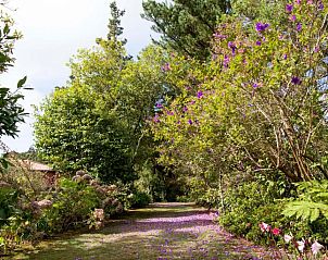 Unterkunft 2313203 - Appartement Madeira - Quinta Santo Antonio Da Serra