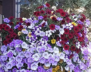 Unterkunft 2325802 - Ferienhaus Rocky Mountains - Log Cabin Motel