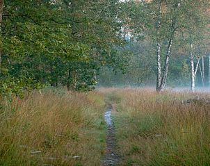 Unterkunft 232809 - Ferienhaus Friese bossen - Vakantiehuis in Oudehorne