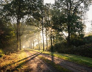 Unterkunft 232809 - Ferienhaus Friese bossen - Vakantiehuis in Oudehorne