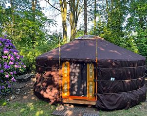 Guest house 233215 • Holiday property Friese bossen • Vakantiehuisje in Ravenswoud 