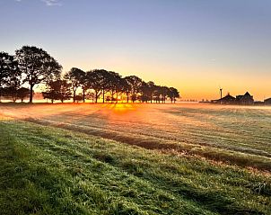 Zonsopgang in de omgeving van Vakantiehuis in Nijemirdum, Friese bossen