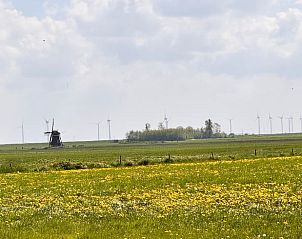 Windmolens in de verte rondom Vakantiehuis in Nijemirdum, Friese bossen
