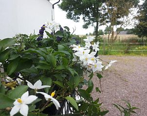 Guest house 23517301 - Holiday property Gtaland - Lgenhet Lillisgrden