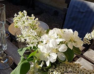 Guest house 26017301 - Holiday property Gtaland - Tofvehults Boende