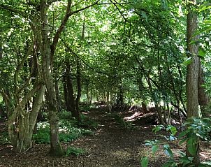 Unterkunft 260208 - Ferienhaus Het Friese platteland - Vakantiehuis in Makkinga