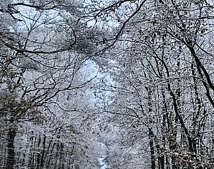 Unterkunft 260213 - Ferienhaus Het Friese platteland - Vakantiehuis in Elsloo
