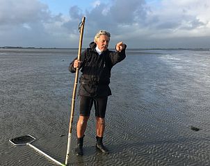 Guest house 260408 - Holiday property Het Friese platteland - Vakantiehuis in Moddergat