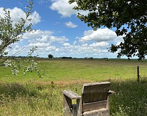 Guest house 260618 - Holiday property Het Friese platteland - Vakantiehuisje in Blesdijke