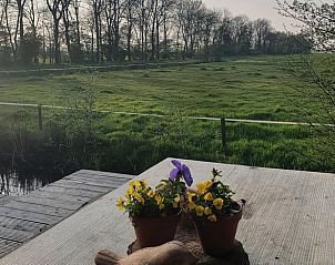 Guest house 2610602 - Holiday property Het Friese platteland - Vakantiehuisje in Rinsumageast