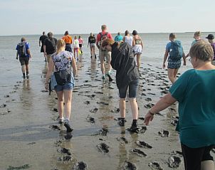 Unterkunft 2611301 - Ferienhaus Het Friese platteland - Huisje in Driezum